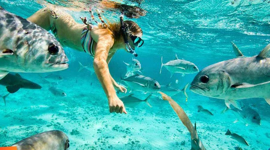 san pedro snorkeling